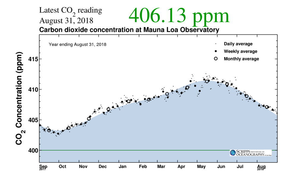 One-year Keeling Curve