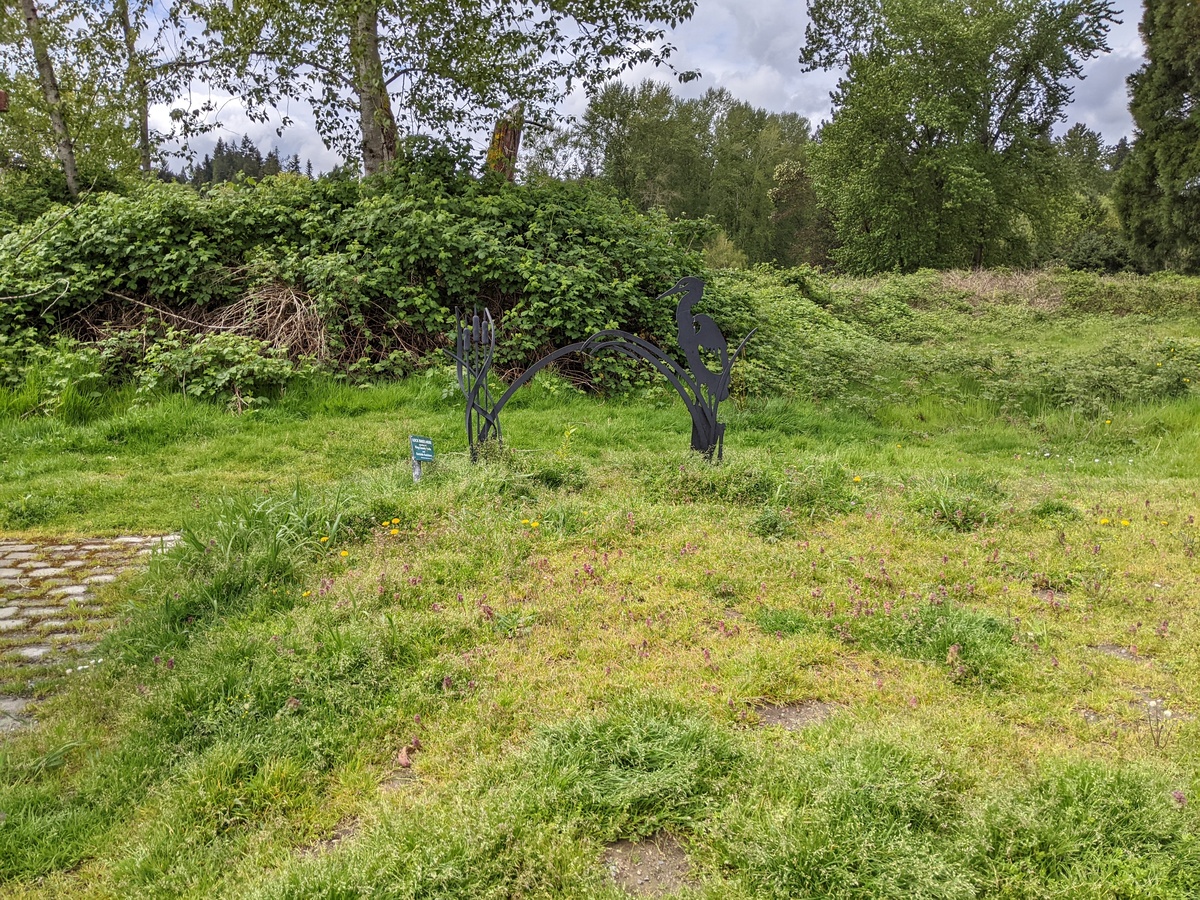 The bike rack near the Marymoor off-leash area