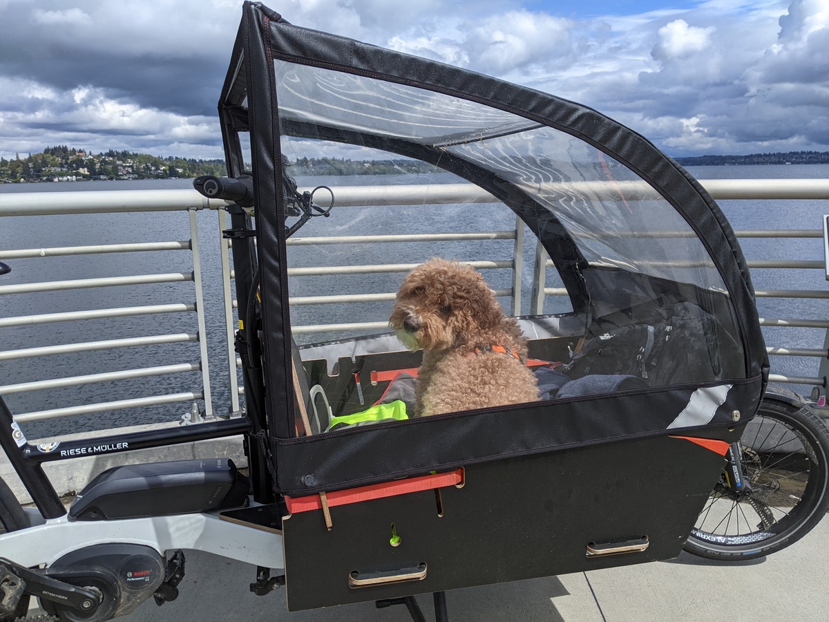Rhett on the 520 bridge