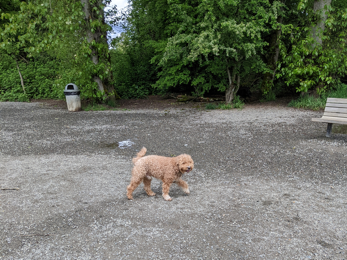 Rhett having a fun time