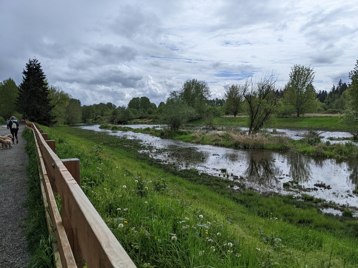 Walking along the river